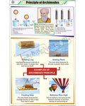 Principle of Archimedes Chart - Laminated, With Rollers
