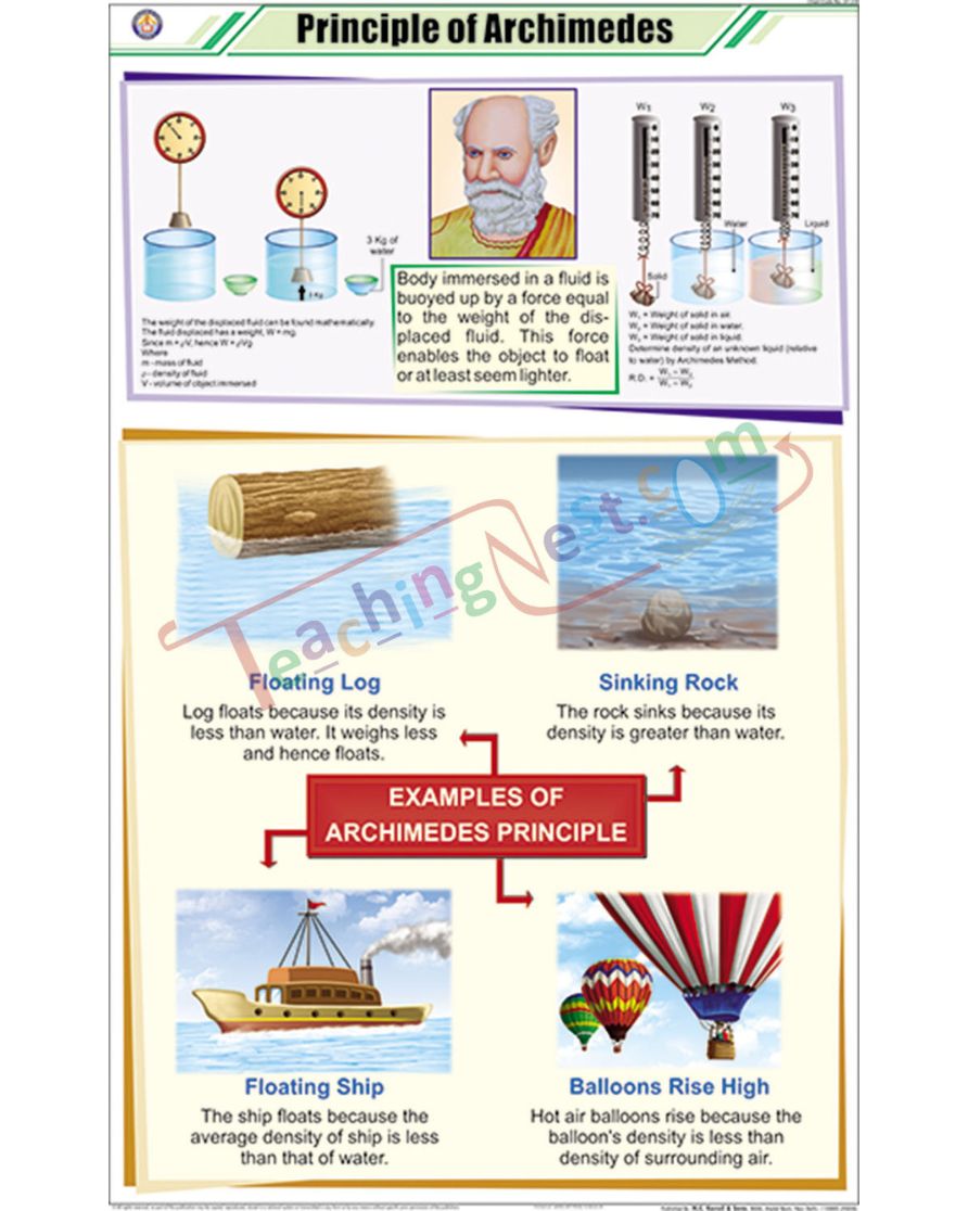 Principle of Archimedes Chart - Laminated, With Rollers