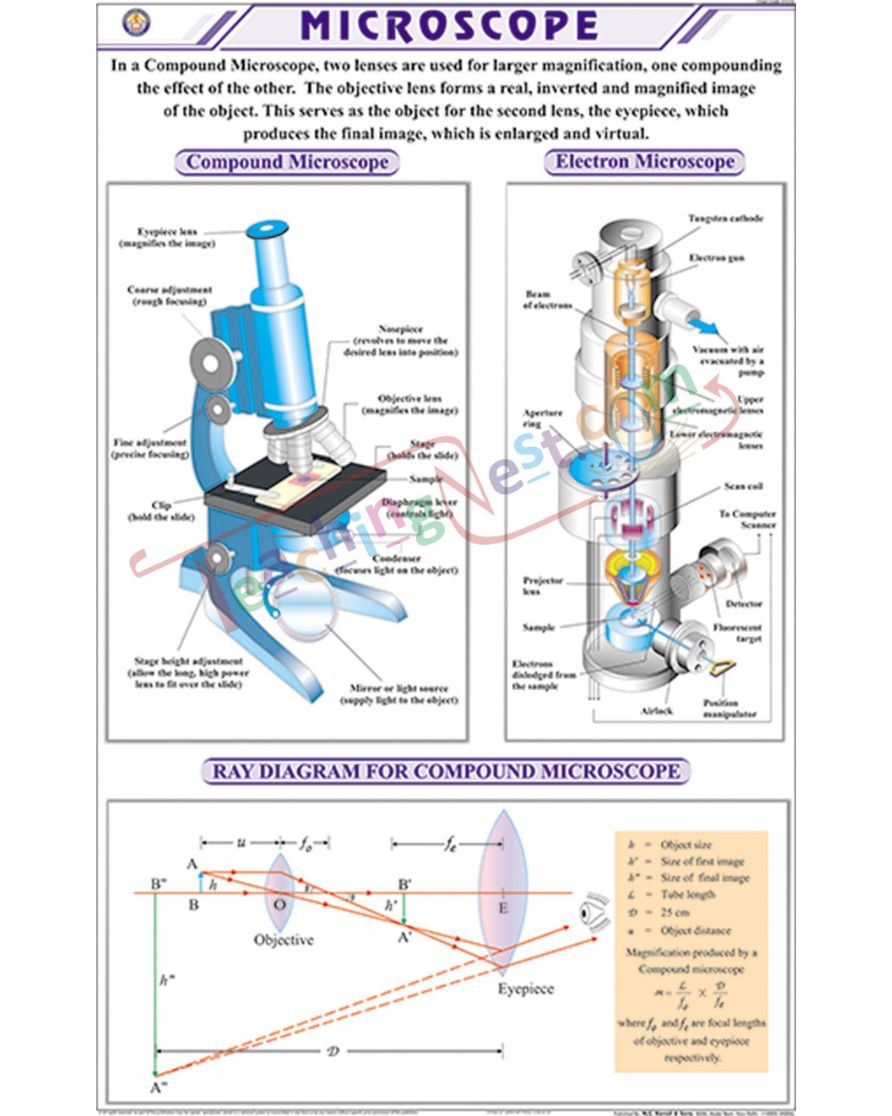 Microscope Chart - Laminated, With Rollers