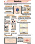 Magnetism Chart - Laminated, With Rollers