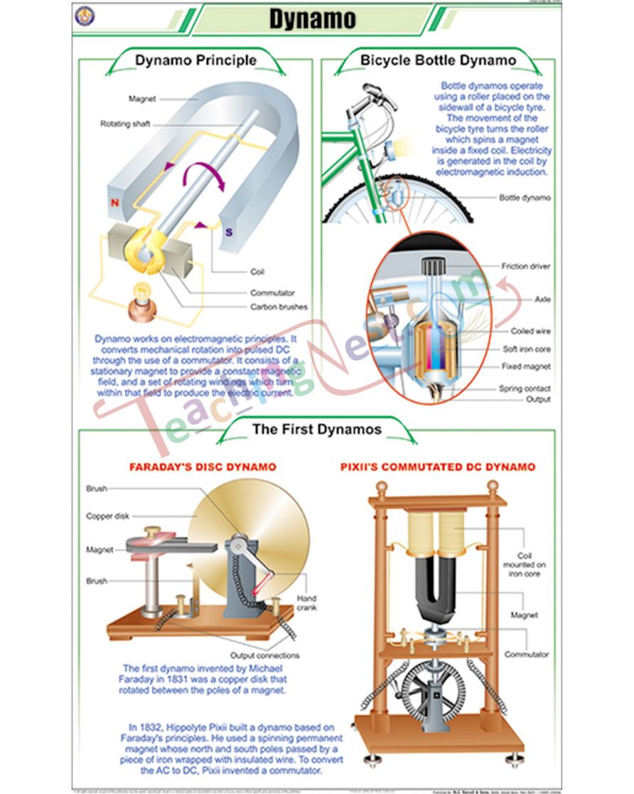 Dynamo Chart - Laminated, With Rollers