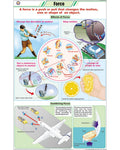 Force Chart - Laminated, With Rollers