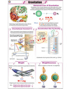 Gravitation Chart - Laminated, With Rollers
