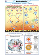 Nuclear Fusion Chart - Laminated, With Rollers