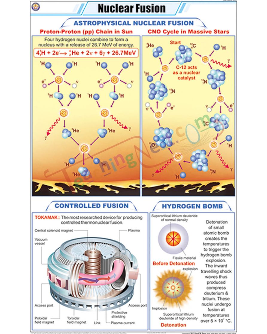 Nuclear Fusion Chart - Laminated, With Rollers