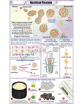 Nuclear Fission Chart - Laminated, With Rollers