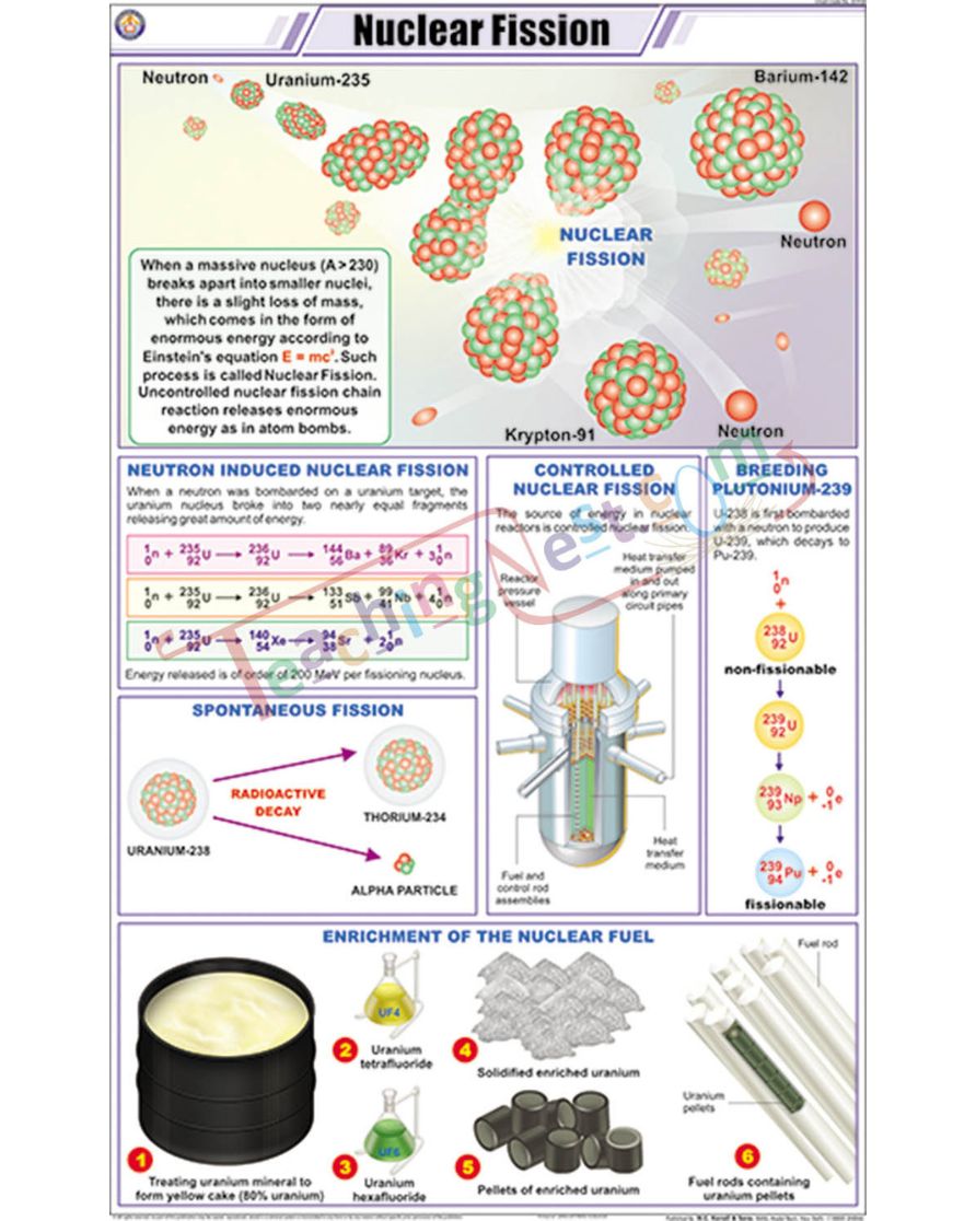 Nuclear Fission Chart - Laminated, With Rollers