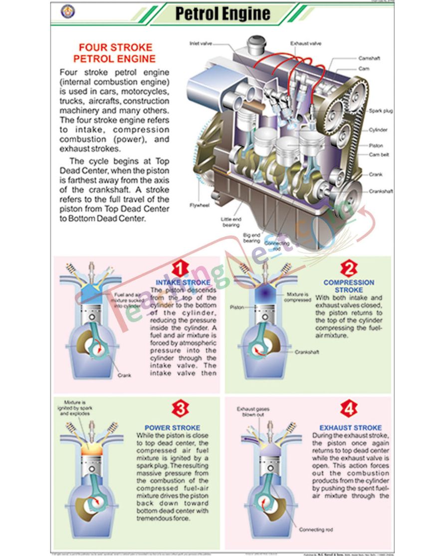 Petrol Engine Chart - Laminated, With Rollers