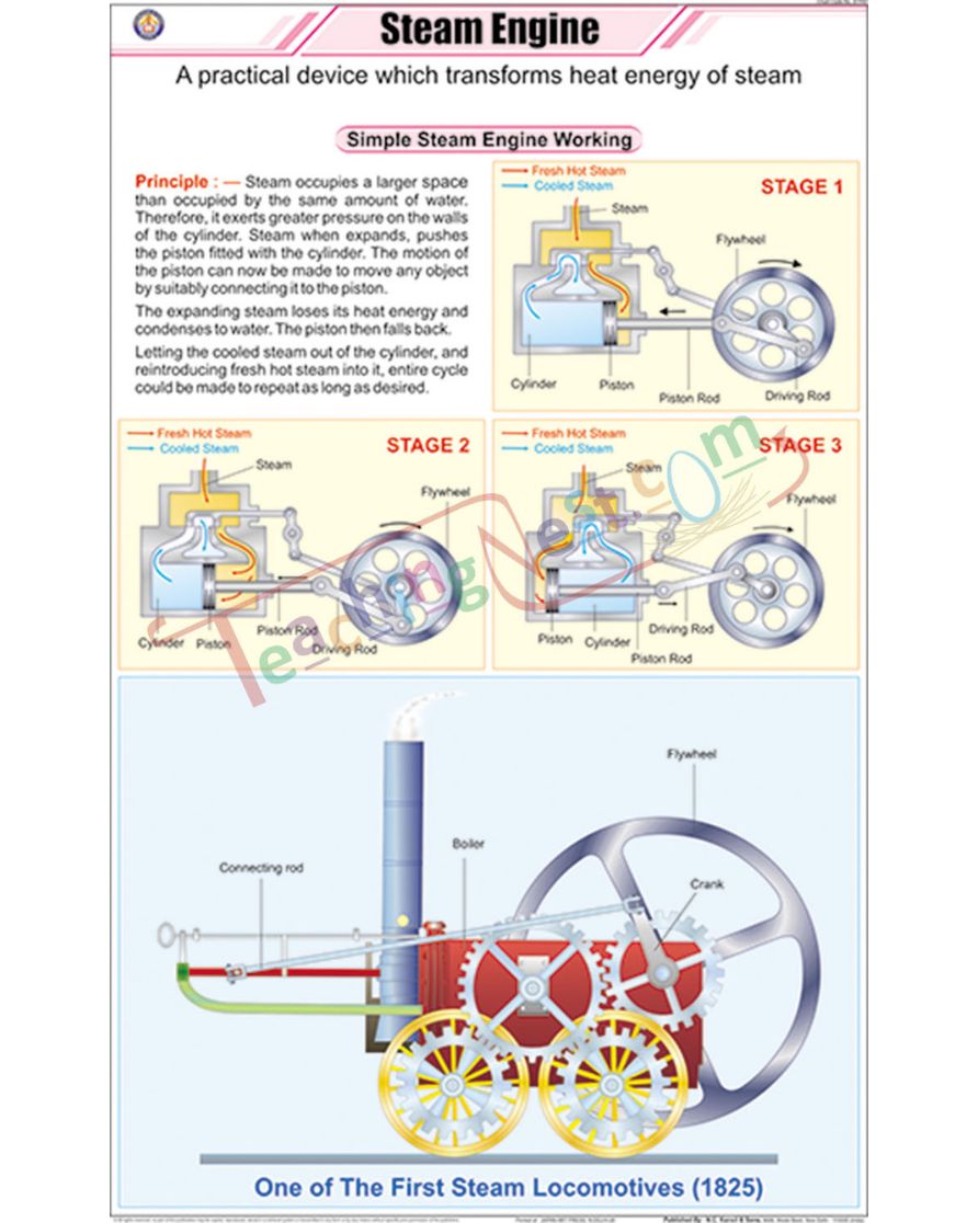 Steam Engine Chart - Laminated, With Rollers