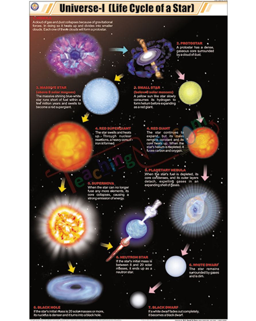 Universe I (Life Cycle of a Star) Chart - Laminated, With Rollers