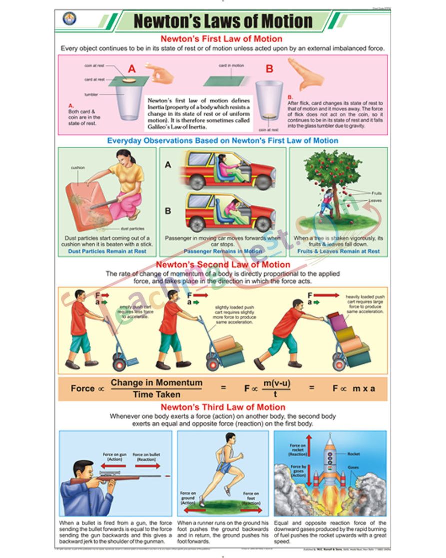 Newton's Laws of Motion Chart - Laminated, With Rollers