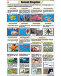 Animal Kingdom Chart - Laminated, With Rollers