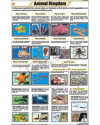 Animal Kingdom Chart - Laminated, With Rollers