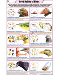Food Habits of Birds Chart - Laminated, With Rollers