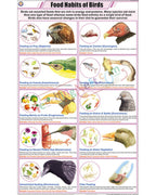 Food Habits of Birds Chart - Laminated, With Rollers