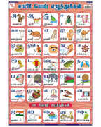Tamil Alphabet - Laminated, Wall Sticking, 13x19 inch, 33x48 cm, Tamil