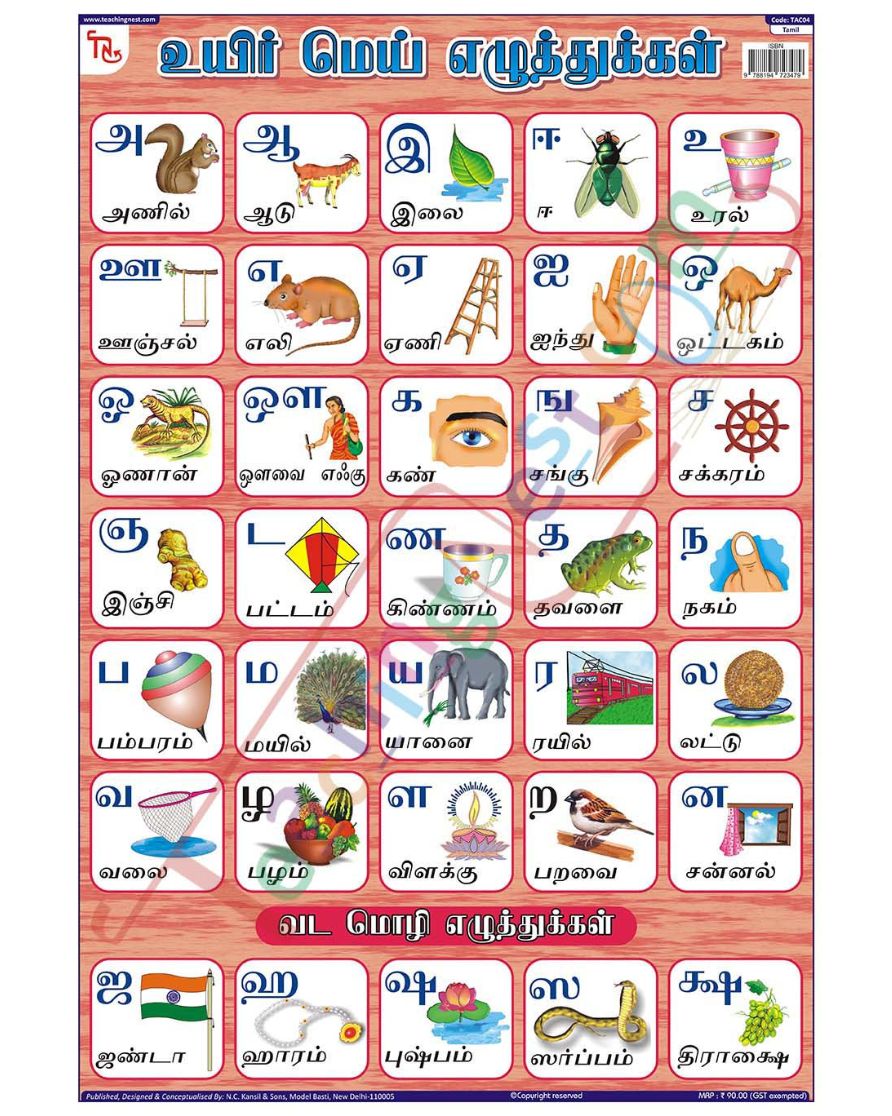 Tamil Alphabet - Laminated, Wall Sticking, 13x19 inch, 33x48 cm, Tamil