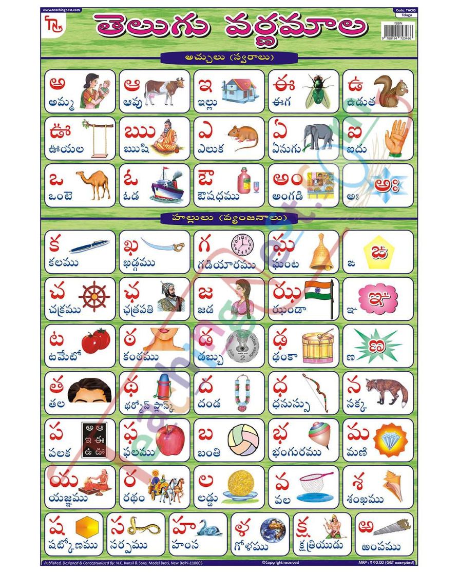 Telugu Alphabet - Laminated, Wall Sticking, 13x19 inch, 33x48 cm, Telugu