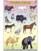Domestic Animals - Laminated, Wall Sticking, 13x19 inch, 33x48 cm, English only