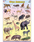Wild Animals - Laminated, Wall Sticking, 13x19 inch, 33x48 cm, English only