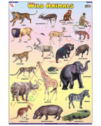 Wild Animals - Laminated, Wall Sticking, 13x19 inch, 33x48 cm, English only