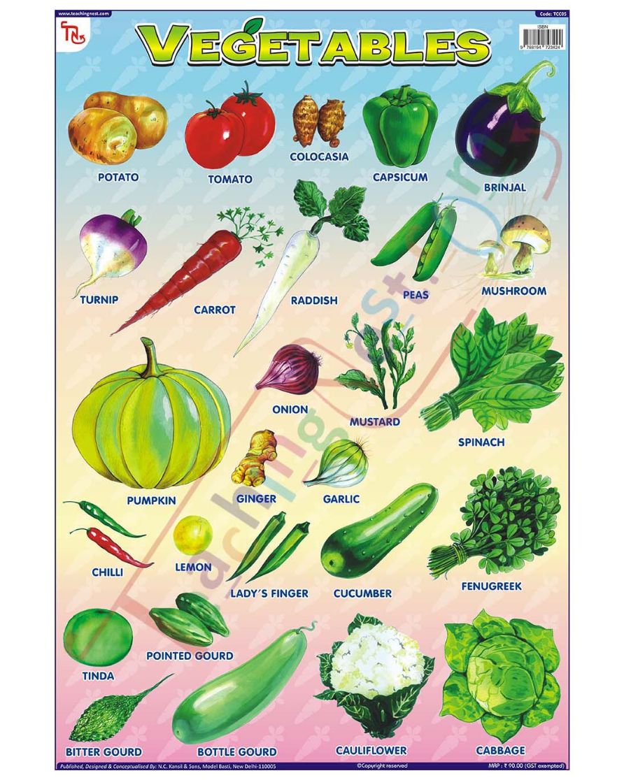 Vegetables - Laminated, Wall Sticking, 13x19 inch, 33x48 cm, English only