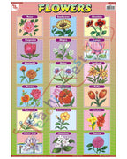 Flowers - Laminated, Wall Sticking, 13x19 inch, 33x48 cm, English only