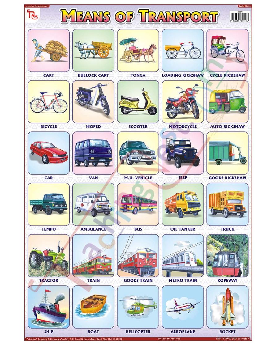 Means of Transport - Laminated, Wall Sticking, 13x19 inch, 33x48 cm, English only