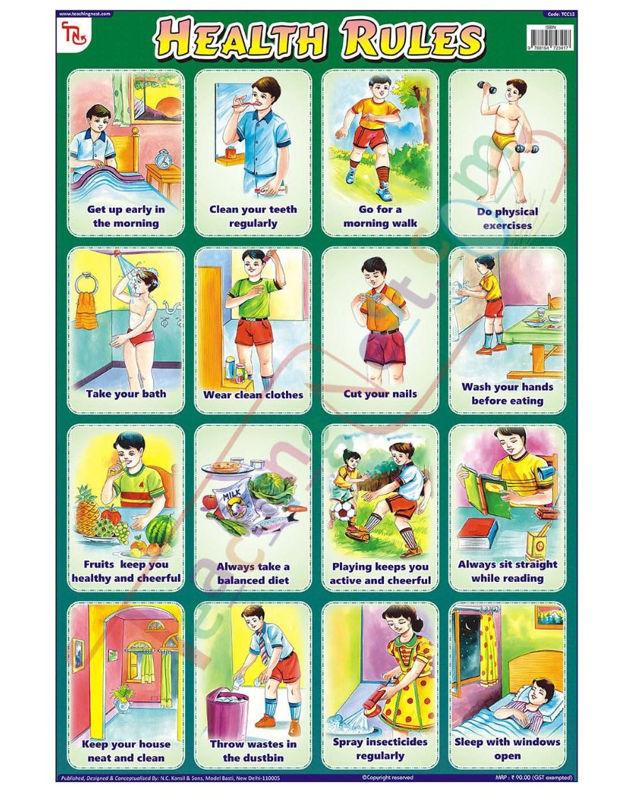 Health Rules - Laminated, Wall Sticking, 13x19 inch, 33x48 cm, English only