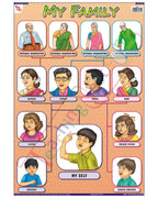 My Family - Laminated, Wall Sticking, 13x19 inch, 33x48 cm, English only