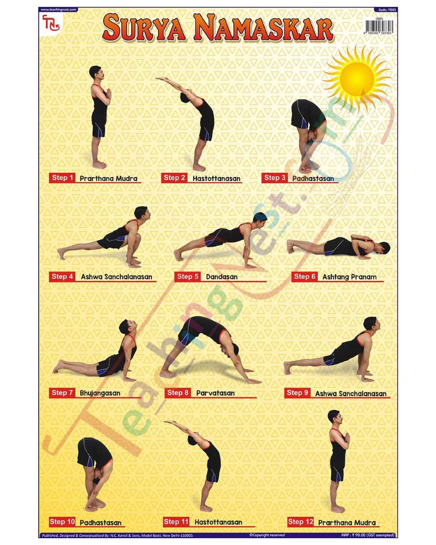 Surya Namaskar - Laminated, Wall Sticking, 13x19 inch, 33x48 cm, English only