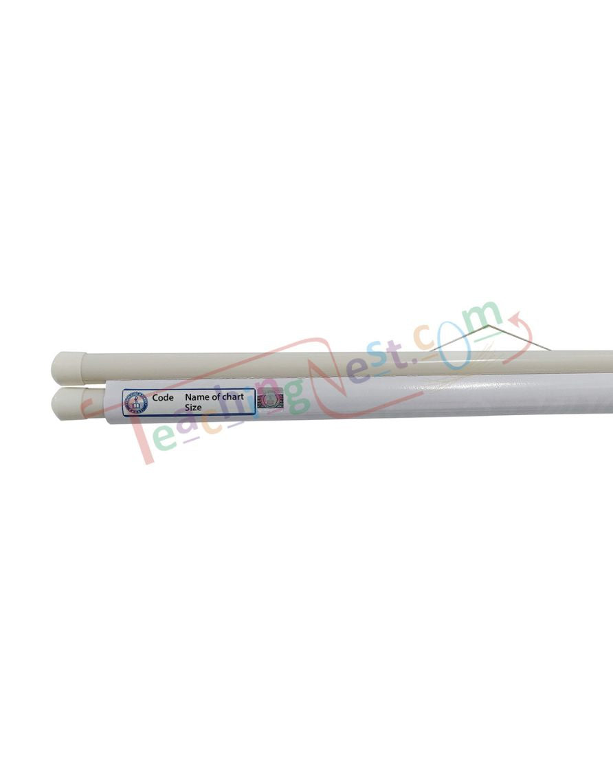 Electric Shock Treatment Chart - Laminated, With Rollers, 50x70 cm, English and Hindi Combined