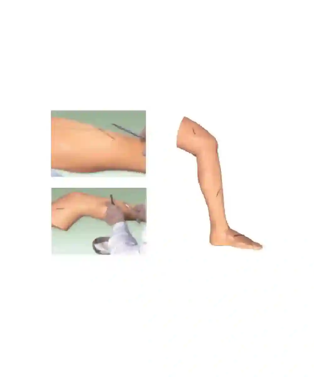 Advanced Surgical Suture Leg - TeachingNest