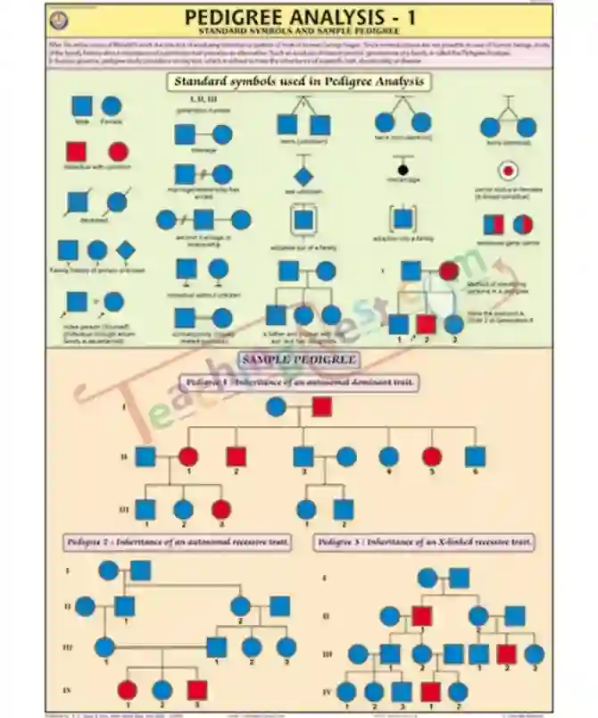 Pedigree Analysis - 1 Chart, English only