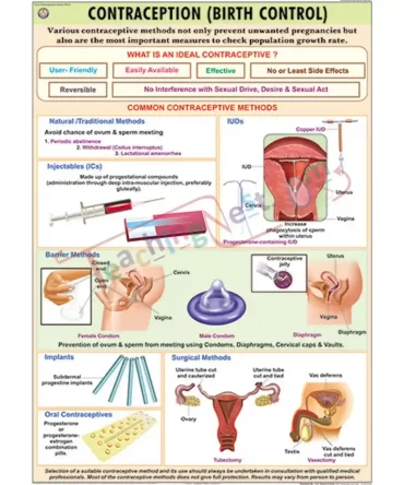 Contraception English Synthetic 70x100cm