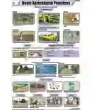 Basic Agricultural Practices Chart - Laminated, With Rollers