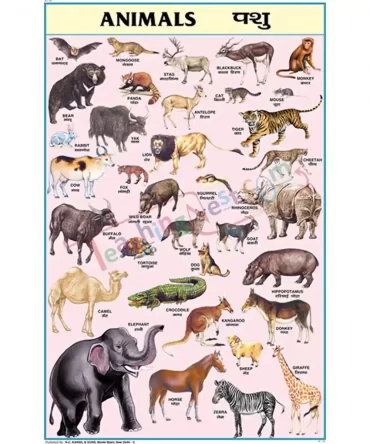 Animals Chart, English and Hindi Combined