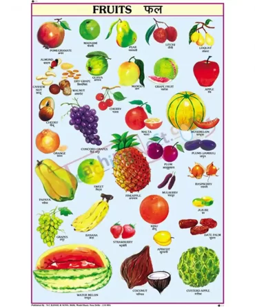 Fruits Chart, English and Hindi Combined