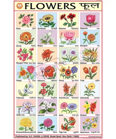 Flowers Chart, English and Hindi Combined