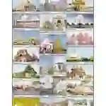 Temples of India Chart, English-Hindi