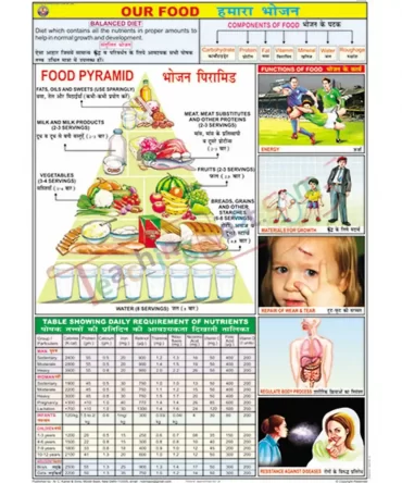 Our Food Chart, English-Hindi