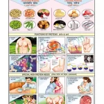 Proteins Chart, English-Hindi