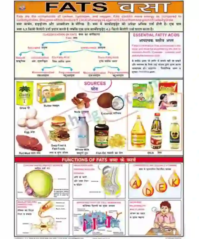 Fats Chart, English-Hindi Combined