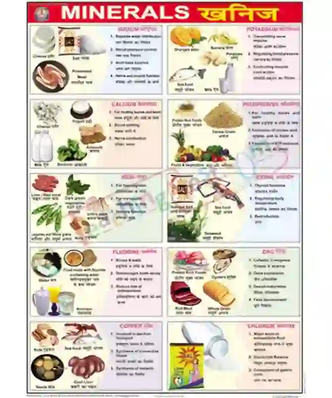 Minerals Chart, English-Hindi