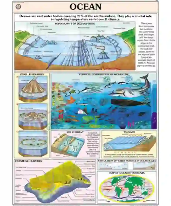 Ocean Chart, 70x100 cm, English only﻿﻿