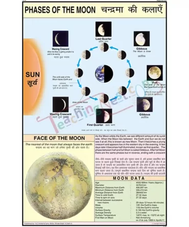 Phases of Moon Chart, English-Hindi