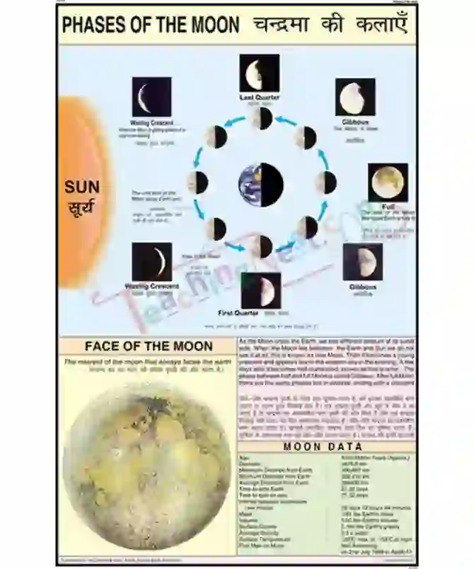 Phases of Moon Chart, English-Hindi