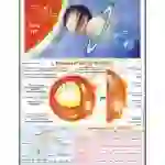 Sun & Planets Chart, English-Hindi