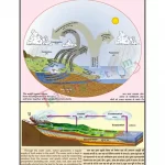 Water Cycle in Nature Chart, English-Hindi