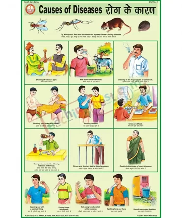 Causes of Diseases Chart, English-Hindi